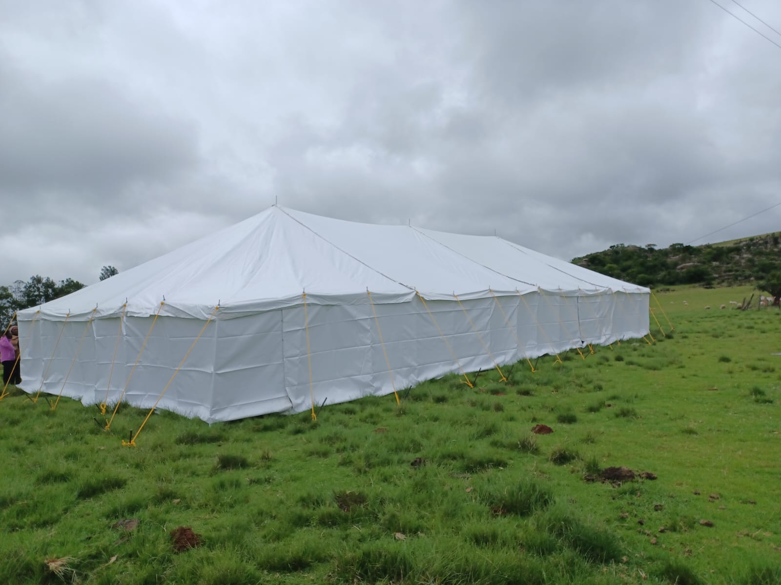 Marquee Tents